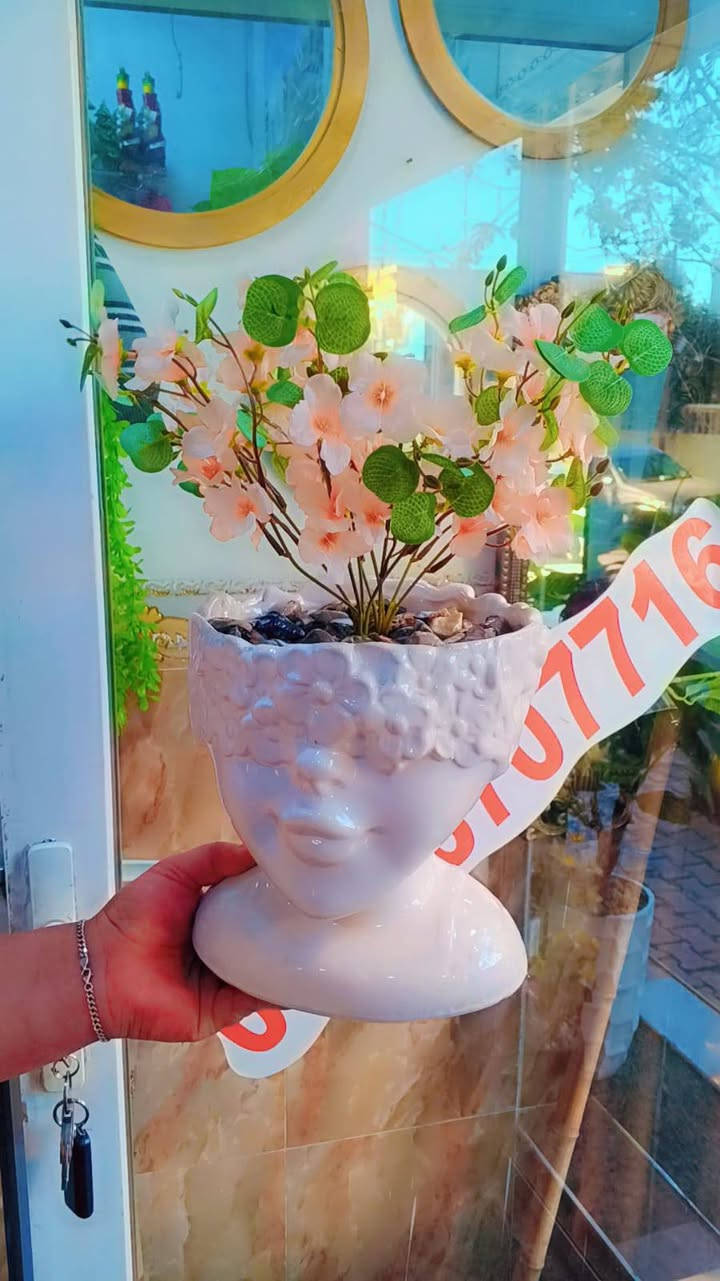 💐💐💐💐💐


**إذا كنت صاحب هذا الإعلان وتريد حذفه لأي سبب، رجاءا أرسل رسالة إلى الدعم الفني**