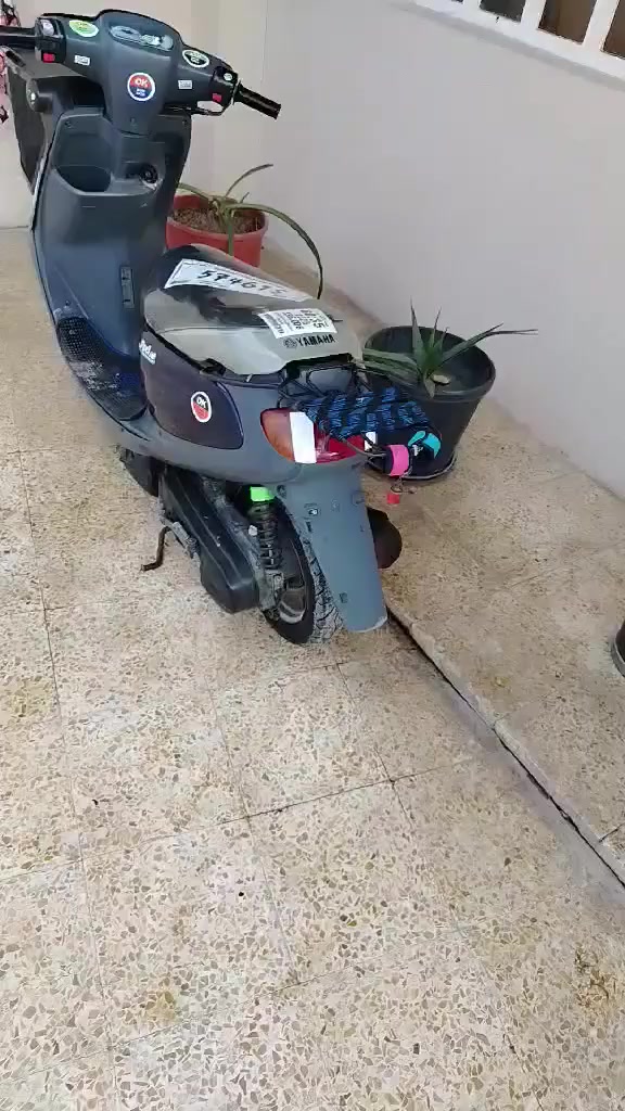 السلام عليكم بزون نفخ نضافه فول مامفتوح شرط كلشي شغال بي سعر450ويرهم مراوسه بتايكر2020 خاص مفتوح


**إذا كنت صاحب هذا الإعلان وتريد حذفه لأي سبب، رجاءا أرسل رسالة إلى الدعم الفني**