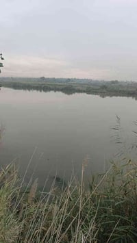 دونم شاطي • طابو سند25 • العزيزيه واسط