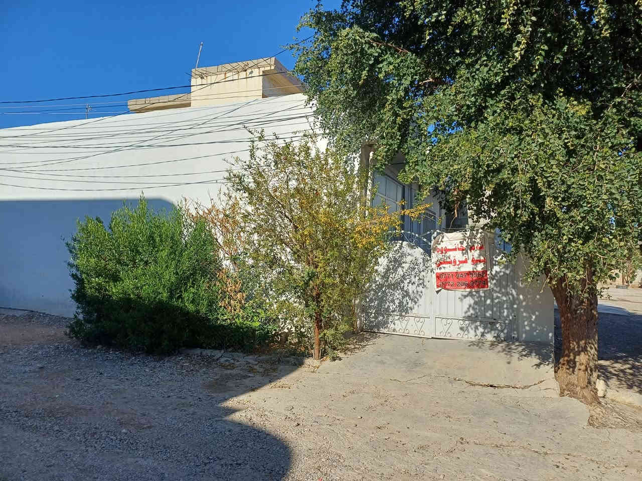 #تەنها_ژمارە_1_لە_کۆمێنت_ڕاستەوخۆ_نرخەکەیت_پێدەگات
سلام عليكم

#خانووی_مۆدێرن بۆ فرۆشتن🏘️🏘️ 
ناونیشان 📍 ناحیەی ڕزگاری ( سموود )

◼️گەڕەکی گەرمیان 🌇
◼️ خوار جادەی حەوت هەزار🏘️
◼️ڕوبەری 10 بە 14 =بە140مەترە و  تاپۆی یەک ناوە✅
◼️ڕوی لەخـۆری بەیاننیە
 ◼️زۆر خۆش و دڵگیری هەیە  

🔴 ژوورەکانی ئەم خانووە پێکهاتووە لە ⬇️

🔶 میوان 🪑🚪
🔶 مطبخ 🍽️🫖
🔶 هۆڵێک 🖼️
🔶 دوو ژووری نوستن 🛋️🛏️
🔶 ڕۆشنایی 🪟
🔶 مشتەمەلات 🛁🚿

بۆ زانینی نرخ 💵 تەنها خاڵێک لە کۆمێنت دانێ ڕاستەوخۆ بە نامە نرخەکەیت پێ دەگات یان پەیوەندی بکەن بەم ژمارانەوە 📲📞📳

***********📞✅

دەتوانن سەردانی
#عەقاراتی ئازاد بکەن

ناونیشانی نوسینگە ◀️ ڕزگاری جادەی نێو بازاڕ 🛣️
🔴 سەرووی شارەوانی سموود. 🌆🏣
🔴 تەنیشت شیرینی خانەی زانا🍹🏢

ئێوەی بەڕێزیش هەر موڵکێکتان هەبوو بۆ فرۆشتن یان ویستان بیکڕن دەتوانن ڕەسم و زانیارییەکانتان بنێرن بۆ ژمارە ڤایبەری 📳✅ ***********
