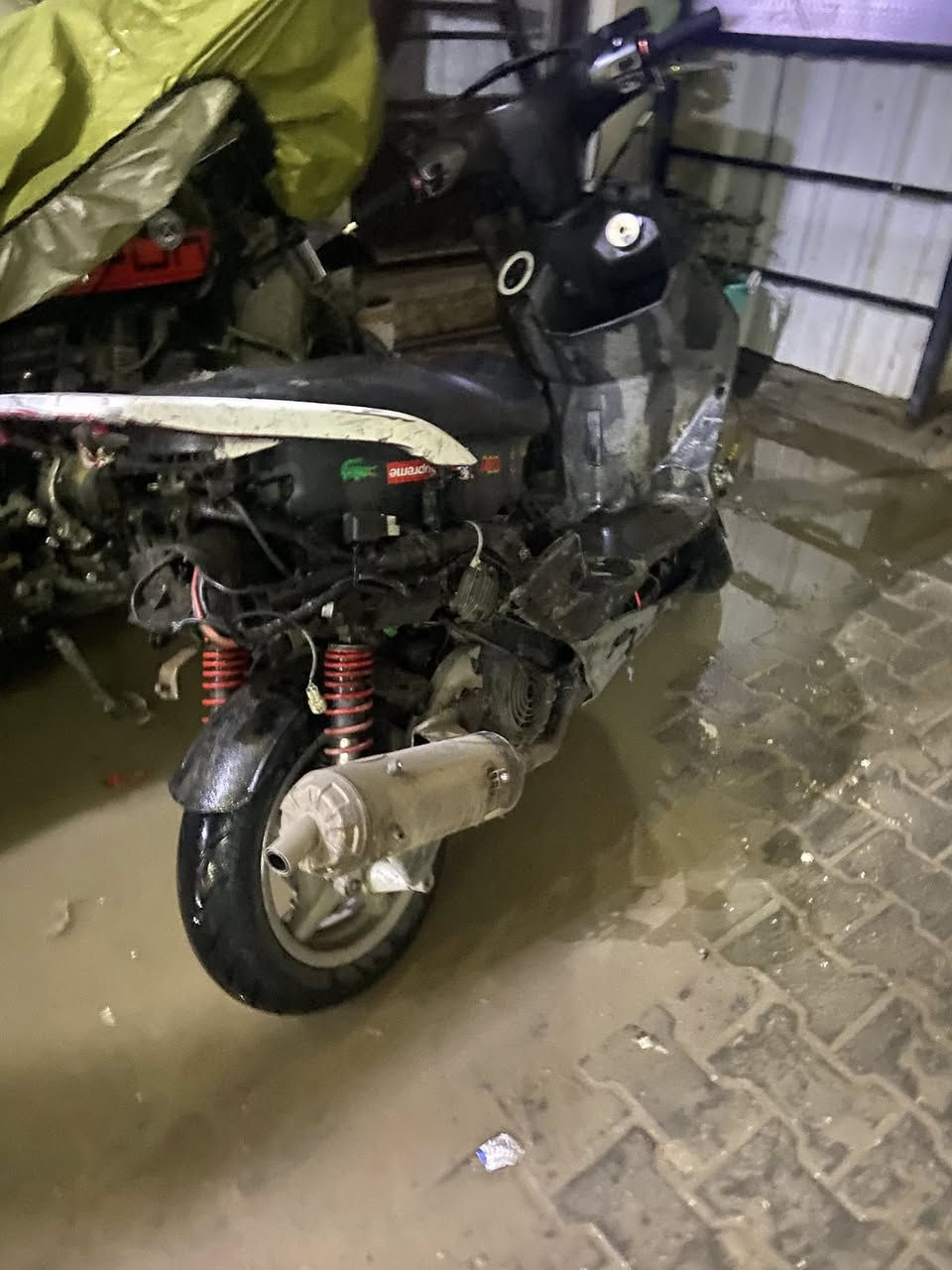 سلام عليكم شباب دراجه سكنس فحل شلعه شك لكاع بوشه ٥٨ونص نكره بكل وكت نوزل للبيع او مراوس بدراجه ثانيه مكاني بغداد اعضميه ***********
