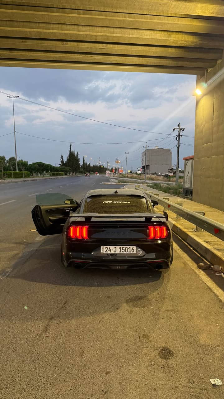 Mustang 2020 
بونيد صبغ جاملغ + باب جهة النفر تبديل شركه بدون صبغ وبدون دواخل بدون ايرباك ماشيه 77 مايل 
كير مكينه بشرط بدون فتح وبدون نفخ 
سياره على ايدي ومعروفه السياره بنضافتها وجمالها 
عليها شوته روش 
عدادات ديجتال 
كوشنات خزن ميموري 
تحكمات ستيرن 
مودات سياقه 
نقطه عميه بالمري 
دمام خلفي داخل الصندوق 
بك لايت سموك 
مسطرة HURST بالعراق كلها مموجوده 
سبايدر خلفي سياره مواصفات خاصه من امريكا مملعوب بيها نهائياً 
سياره كلها بلادية بدون اي نقص 
سعرها 185$ بيها مجال بسيط 500$ غرامات 
*********** 
الشراي يتصل ويتدلل دهوك, العراق
