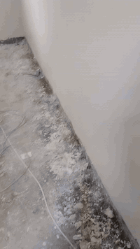 كادر مخمر درجه اوله شرط الحايط جام *********** بصره اي استفسار راسلني وتساب
