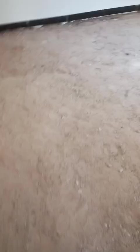 سلام عليكم اخوان رمضان كريم عليكم    اخوان اني شغلي تسليم  مفتاح   يعني اسلمني هيكل اسلمك مفتاح لبخ بياض سيراميك ارض جداري   اتصل *********** واتساب موجود خاص ماعندي    ونتفق
