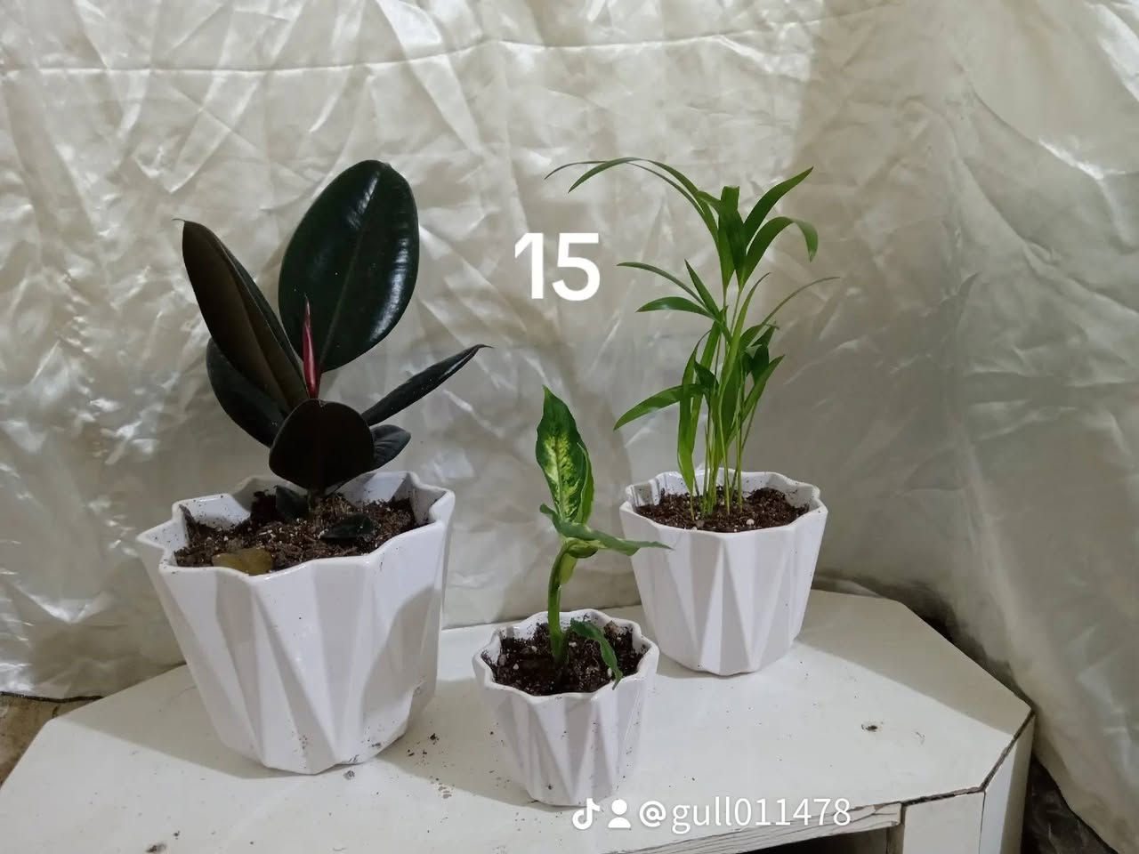 ئادە کردنی چەند سێتیکی جوانو تورکیو هۆڵندیی .... بە هەرزانترین نرخ لە هەولێره ...


**إذا كنت صاحب هذا الإعلان وتريد حذفه لأي سبب، رجاءا أرسل رسالة إلى الدعم الفني**