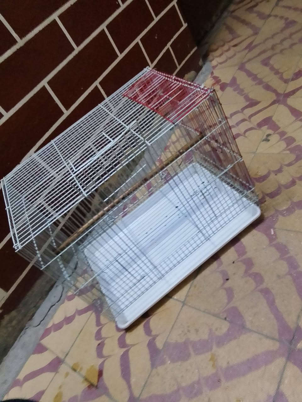 قفص للبيع 
ابو الطير يرهم جميع حيوانات الزينه 
اخو الجديد لا بي كسر ولا شي
بس فاتحين فتحه لمكان بيت الحوانات وهسه مسدوده بل سيم الاحمر تريد بس تشيل السيم الاحمر ويتخله بيت حيوانات 

العنوان بغداد سيديه حي الاعلام 
تفاصيل اكثر بل تعليق او خاص وبل خدمه


**إذا كنت صاحب هذا الإعلان وتريد حذفه لأي سبب، رجاءا أرسل رسالة إلى الدعم الفني**