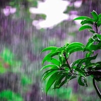 جمعية ام ال 250 الف تبدي يوم 1/1  للاستفسار الاتصال على الرقم. ‏‪0781 ...