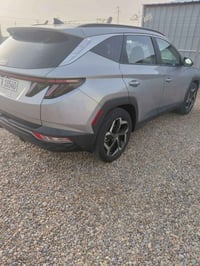 توسان • ٢٠٢٤ • مرقم اربيل