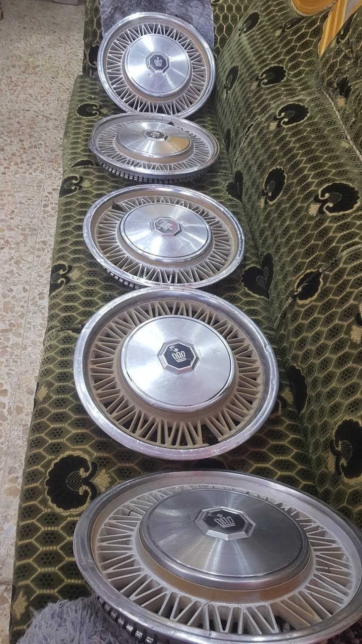 كبات سوبر82 تخم للبيع. ***********وات ساب
