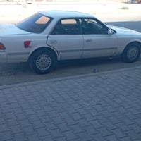 مارك فلات • ١٩٩١ • ساقطة سنويه