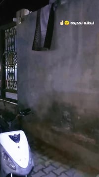 منغولي • معدل • طياره