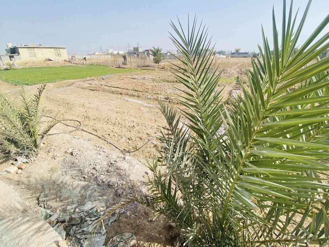 نصف دونم للبيع  مبني بي هيكل جاي من صيطرة النهروان بقرية داود سلمان  للتواصل ***********
