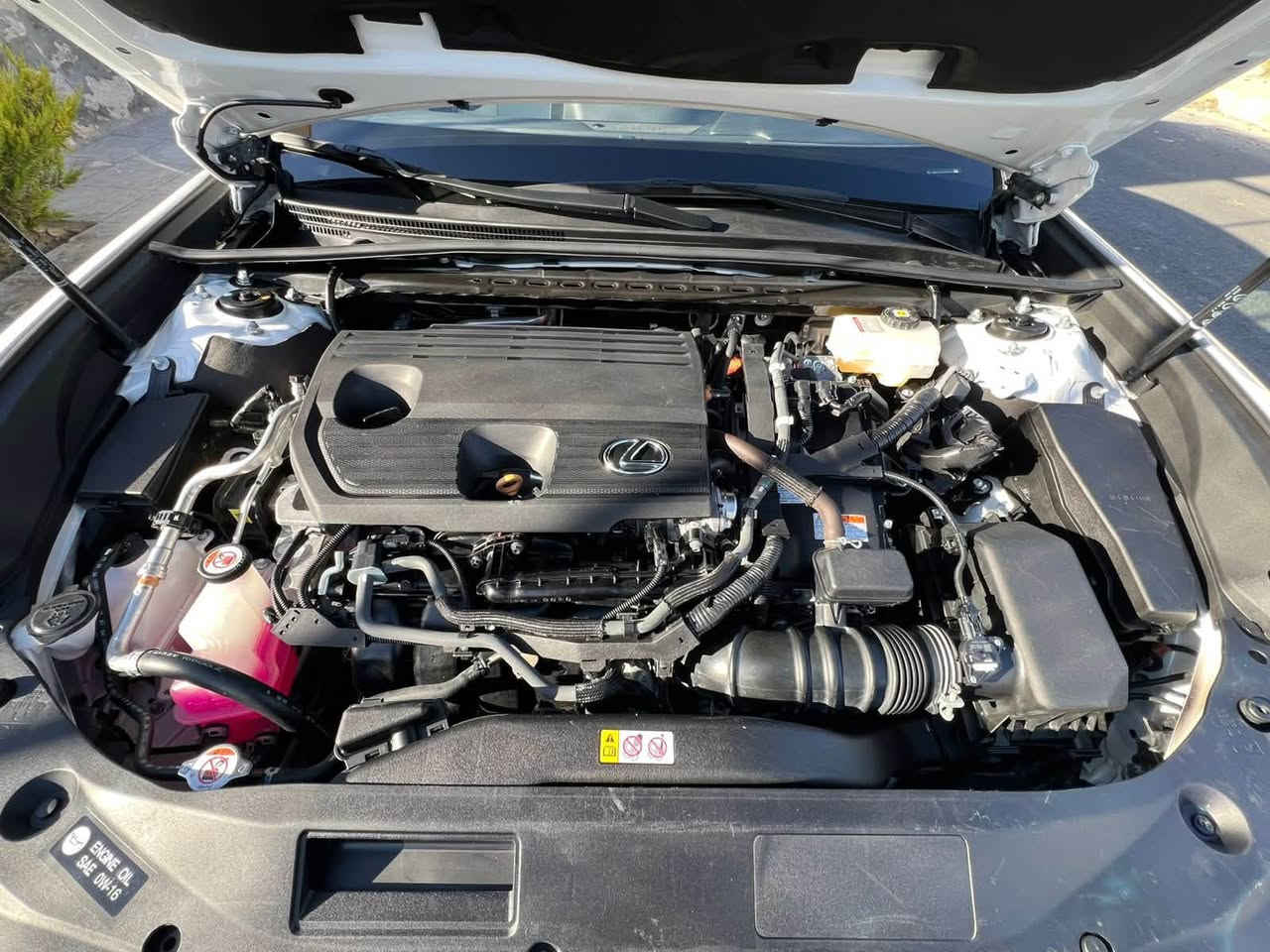 Lexus es 300 hللبيع 
 2025 هايبرد 
لون ابيض 
السيارة فول مواصفات ١/١ 
مكينه 2500 هايبرد 
رقم اربيل سيارة دخول جديد 
16الف miles 
شواصي ولغود سليمه
بعض من مواصفات السيارة 
حساسات امامي و خلفي 
رادارات امامي و وجانبي 
مري شفط 
شاشه كبيره لمس 
نقاط عمياء 
تحديد مسار 
مثبت سرعة تفاعلي 
تدفئة تبريد كشنات مع خرن ميموري 
تدفئة ستيرن 
فتحة سقف 
داتا شو 
نظام صوتي من JBL 
شاشة جبيرة نظام كار بلي وايرليس 
شحن لاسلكي  
مري شفط وكهرباء 
كشنات كهربائية 
هندبريك بصمه 
اشاير بالمري 
نظام ما قبل الاصطدام 
دخول ذكي اربع ابواب 
صندوق كهربائي يفتح من الاسف كذالك 
فتحة سقف 
تشغيل عن بعد 
حادثها سيارة جاملغ الايسر وبنيد مبدله تفصيخ 
وسيارة راجعه بلادي 
وبيها بعد هواي مواصفات معروفة 
السيارة جاهزة بدون نقص 
السعر 295 وبيها مجال 
للاستفسار ***********
يرهم مراوس بالكزز Lx570 موديل 16وفوك
