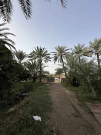 المدائن الورديه • ٥ دونم • طابو ملك صرف