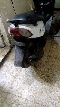 بلادي 49 • سلف وهندل • رول كلج مسحوج