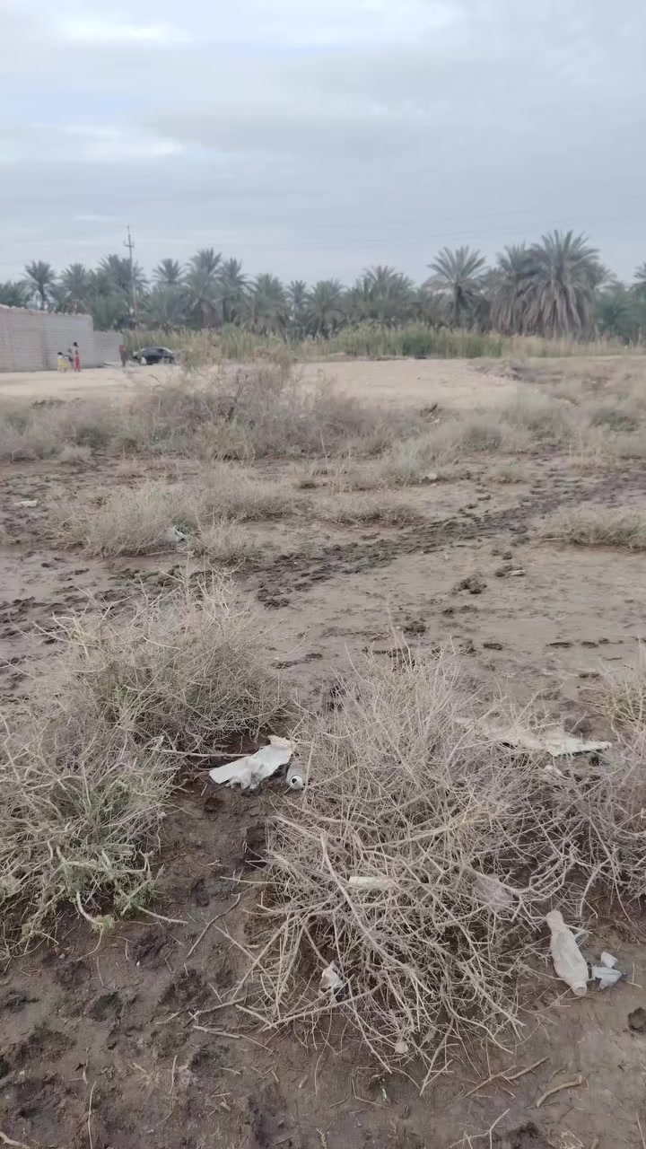 السلام عليكم قطعة أرض زراعي مساحه 210
خدمات قريبه عليها ماء كهرباء شارع 10 م
خلف مدرسة الواثق
سعرها مناسب جدآ بيع مستعجل
23وبيها مجال بسيط للاستفسار الاتصال على الرقم ***********
