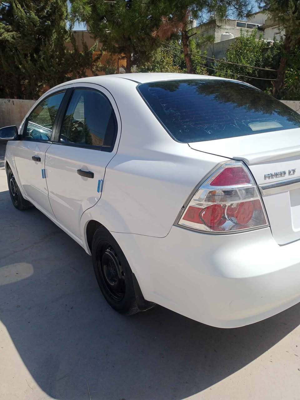 ***********  ***********شقلاوە أربيل, العراق
