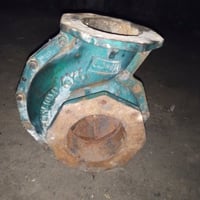 خنزيره أبو العشره للبيع سعر 100وبيه مجال 07830813157