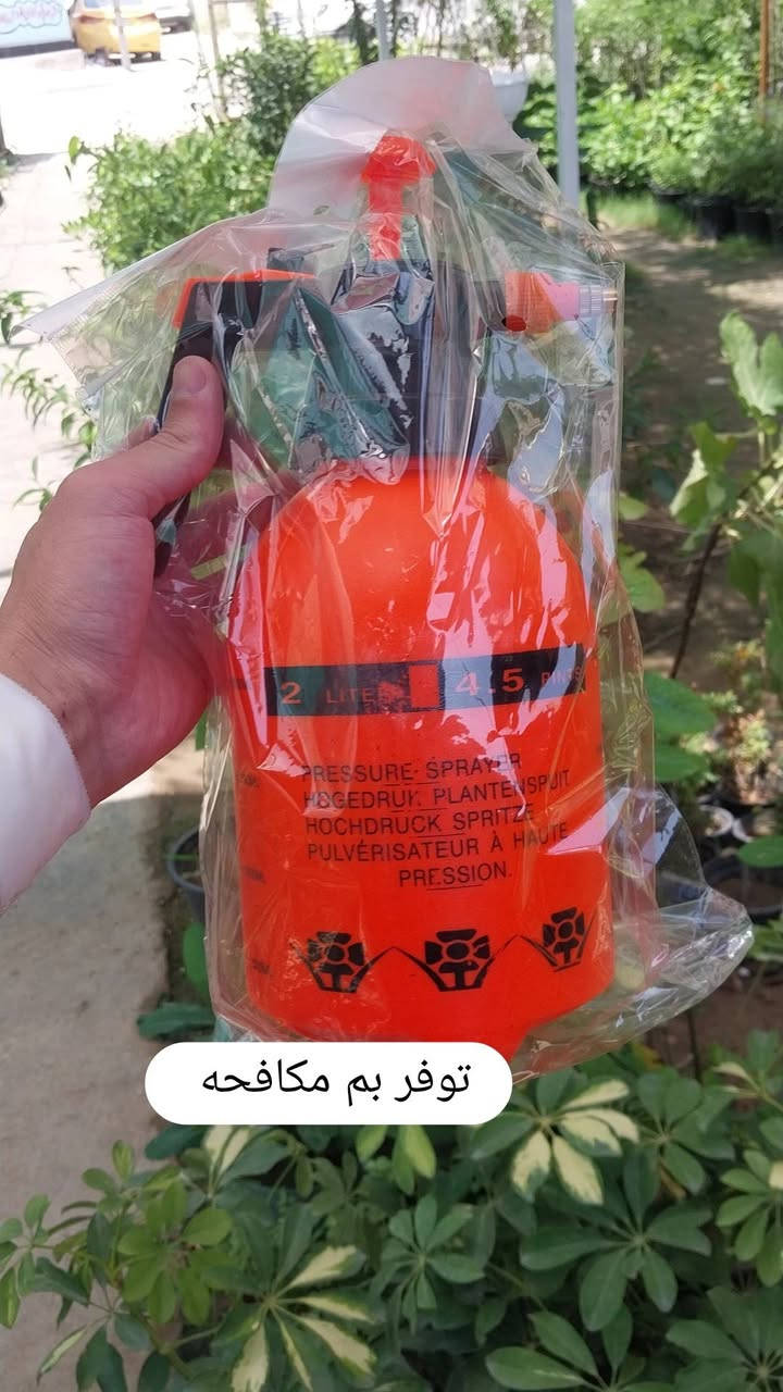 اللهم صلي وسلم على سيدنا محمد وعلى اله وصحبة وسلم تسليما.
توفر في مشتل ابو علي الفراجي أنواع من مبيدات حشرات ومفطريه ومنشطات الزراعيه والبيتيه🤍

العنوان : بغداد /سلمان باك / قرب جامع سعد /شارع الحدادين 🤍

سوينا لكم بيج على برنامج الإنستقرام لكي نجاوب على اسئلتكم المتنوعه 

اسم البيج : بيج مشتل ابو علي الفراجي 

يوزر البيج: l0.33.m

رابط البيج:https://www.instagram.com/l0.33.m?igsh=bGZmMGw4bTN2ODZw

مشتل ابو علي الفراجي يرحب بالجميع 🤍


**إذا كنت صاحب هذا الإعلان وتريد حذفه لأي سبب، رجاءا أرسل رسالة إلى الدعم الفني**