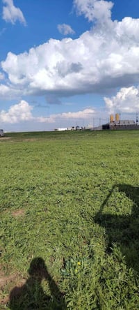 نصف دونم • واجهة ٣٧م • سند زراعي ٢٥