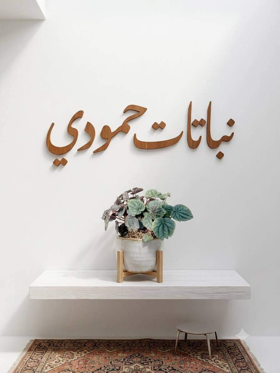 🌿✨ تتوفر لدينا تشكيلة مميزة من النباتات الضلية والخارجية ✨🌿

🌱 وصلتنا تشكيلة جديدة من أجمل نباتات الزينة، بجودة ممتازة وأسعار مناسبة للجميع.

💚 شاهد واستمتع بجمال وروعة النباتات، واختر ما يناسب منزلك أو حديقتك.

📲 للحجز والاستفسار :
واتساب: ***********

🌿 نباتات حمودي... جمال الطبيعة بين يديك. 🌸
