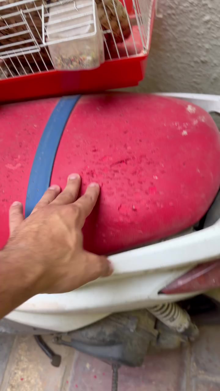 السلام عليكم سكنس نثيه للبيع كامله الدراجه ملاحضات بسيطه بيها شغاله هندر وسلف متروكه الدراجه +نقص كابريتر جيب وياك كابريتر وتعال افحصها الدراجه ب400 بيها مجال مكاني بغداد الكريعات 
رقمي واتساب ورصيد موجود 
***********
