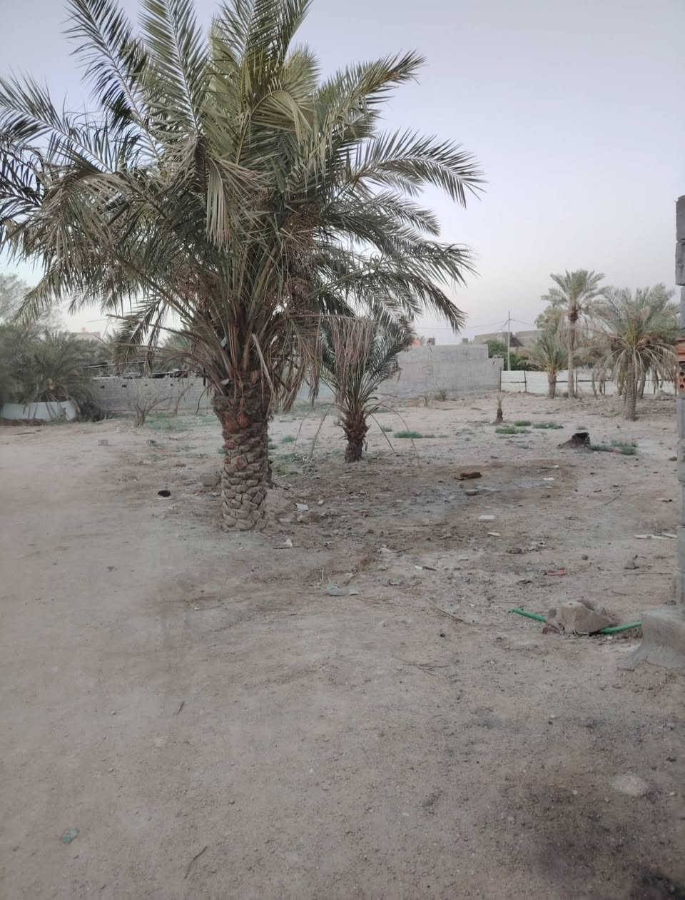 2000 الفين متر.. تصلح بناء مدرسه او اي مشروع أخر 
قطعة أرض طابو صرف عراقي بسمي تريد تحويل تريد وكالة

مساحة الفين متر 2000 يعني دونم اله

منطقة البهادريه شارع 8 متر

للاستفسار أكثر اتصل ***********
