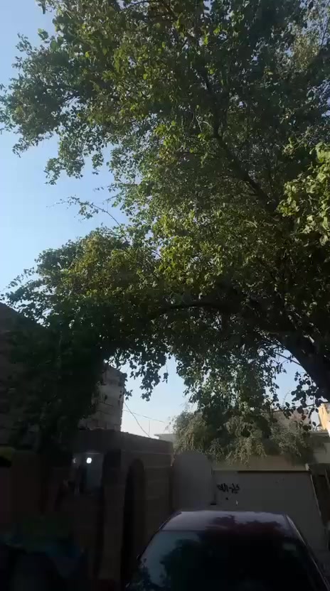 السلام عليكم دراجه سكنس جبلي دراجه مال رامبا مقفوله كفاله عامه ماكينه ما مفتوحه مكانه ديالى بعقوبه السعر 1,300,000 او بيها مجال الاستفسار هذا رقم الهاتف ***********
