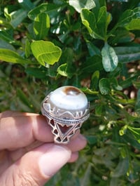 قفل • بغداد