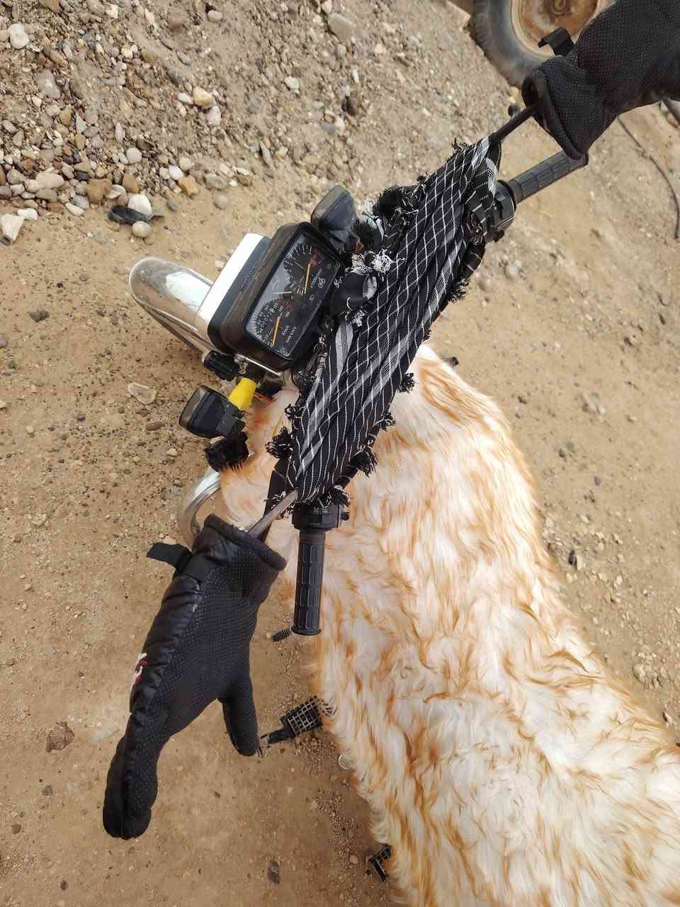 سولنك البيع موديل 2023كهربايات كله شقاله ما ناقصه شي سعر 600وبي مجال مكاني العبيدي  الخصيم


**إذا كنت صاحب هذا الإعلان وتريد حذفه لأي سبب، رجاءا أرسل رسالة إلى الدعم الفني**