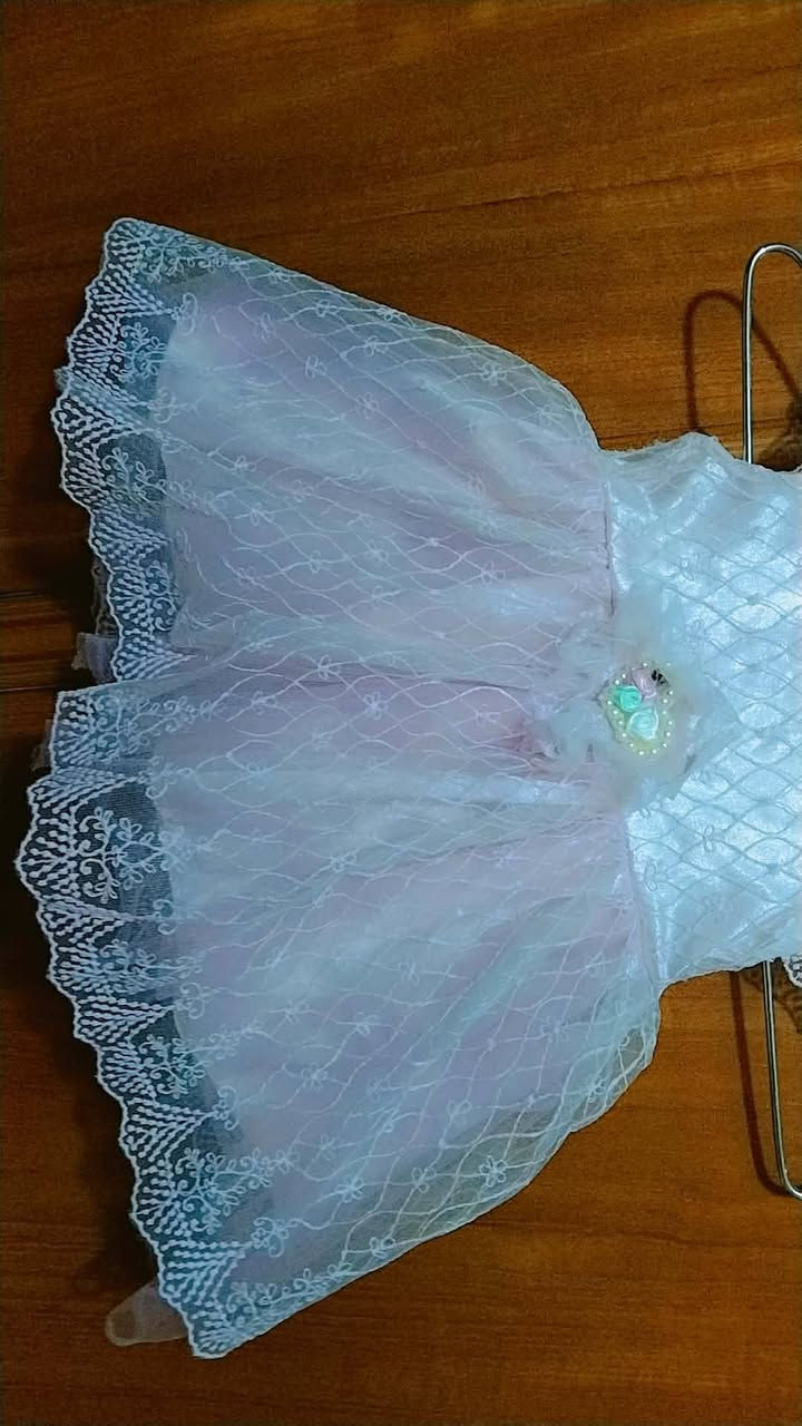 فساتين اطفال القطعه من عمر ٦ اشهر وسنه لغايه ٦ سنوات العنوان حي التراث يم البياع


**إذا كنت صاحب هذا الإعلان وتريد حذفه لأي سبب، رجاءا أرسل رسالة إلى الدعم الفني**