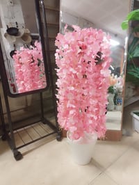 ارتفاع ١متر • جميع الألوان • مقاسات متعددة