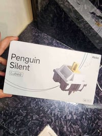 أربيل • ٤٥ قطع • جديد