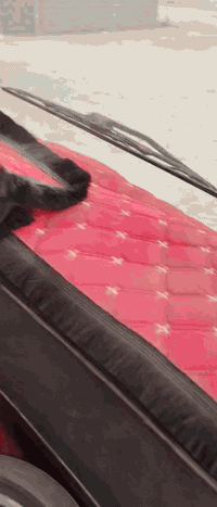 سلام عليكم كرين فالفو للبيع6طن سلايتين رقم نينوه سنويه منتهيه بل 19تحويل شرط سياره كله شقاله اتصال (***********)(***********
