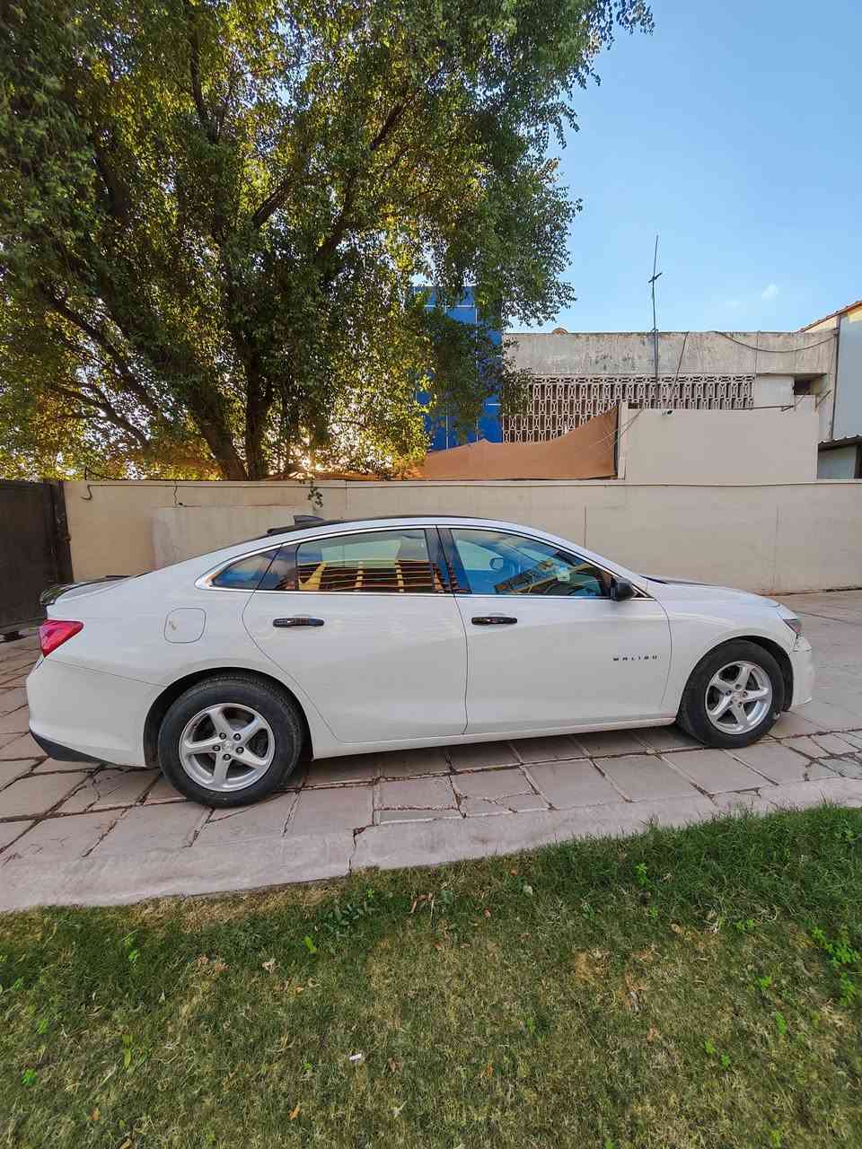 شوفرليت ماليبو للبيع 
موديل : 2018
بلد الصنع : امريكي
عداد المسافة :105 كم
لون : ابيض مميز
رقم بغداد 
حادث : جاملخ قطعة وحدة  وبيه بارد صندوك شبر وباقي موضع بالهزه
° شاصي شرط
°محرك وكير شرط
مواصفات :
ابواب بصمة جميعها 
شاشة لمس اندرويد اوتو وابل كار بلي
كامرة خلفية دوارة
نوافذ اوتو 
اوتو ستوب
تشغيل عن بعد 
كروس كونترول (مثبت سرعة)
حجم الويل 16
تبريد ثلج شرط 
السيارة مال بيت مداريها كلش بانزين محسن 
ابد ما خال بانزين عادي ودهن امزويل اصلي من البيت الامريكي
حجر البيئة موجود
السعر :105$ وبيها مجال للشراي
الموقع / بغداد 
للتواصل ***********
