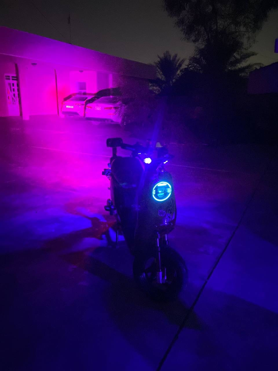 دراجه R9 ريان للبيع لدراجه مزوده تزويد خارجي عمبار وتغليف لكشن ستاند تزويد جاملاغ كاربون فايبر لايت 3 عدسات اصفر ابيظ راصطه مال ستيرن دراجه 5 باتري كبار وجوزه تزويد واي مصلح اروح وياك شرط لفحص لسعر 475 وبيه مجال قليل لمكان حي الجهاد الحمدانيه

 الرقم ل تواصل : ***********
