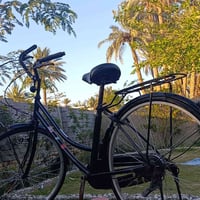 بايسكل ياباني • حاوية • دبله