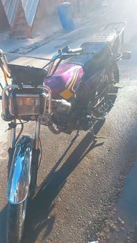 سونك ليون • ٢٠٢٦ • الدوره