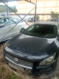 ماكسيما • ٢٠١٢ • بعقوبة