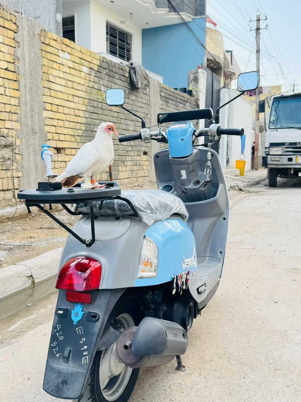 الدراجه لبيع رمبه مخزونة صاره مده السعر واحد و٣٠٠ بيه تساهل حك الجيه الرقم *********** الطير مو لبيع

