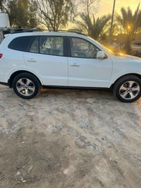 سنتافي • ٢٠١٢ • كفاله عامه