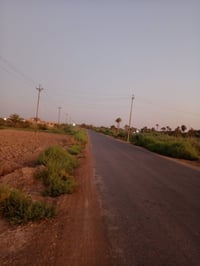 الدغاره آل بو نايل • ٨ دونم • طابو زراعي