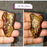 أغراض شخصية • متفرقات