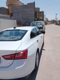 التفاصيل بالصور • صورة فقط