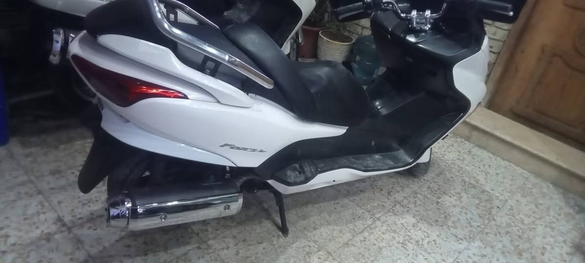 فورزه بصمه 8/0 بلاديه كلهه بس بيه اثر  شخوط ومكحلهن ملاحظه الكير ملغي مالته ألسعر 1100 وبيه مجال 

المكان البلديات تقاطع الكهرباء /***********
