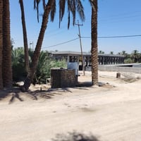 مزرعة • ٢دونم • شط الكوفة
