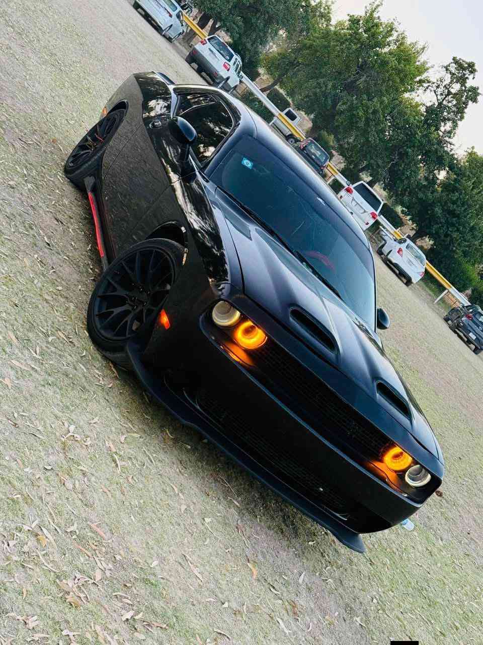 للبيع دوج جالنجر اسود
السياره 2015 SXT  مطلوبه كمرك قرار 48   
محرك 6 سلندر 3600 
داخل جلد احمر كشن كهرباء شاشه كاربلي 
حادثها من امريكا موضح مابيه ضرر
رقم بغداد رقم الماني بغداد   سنويه عضم عاج  
مسويلها ادامه جديد صدر جديد كامل و تخم تاير جديد
السعر 95 ورقه 
مكان السياره ديالى أو بغداد 
***********
الشراي يخابر ويتدلل بيع او مراوس
