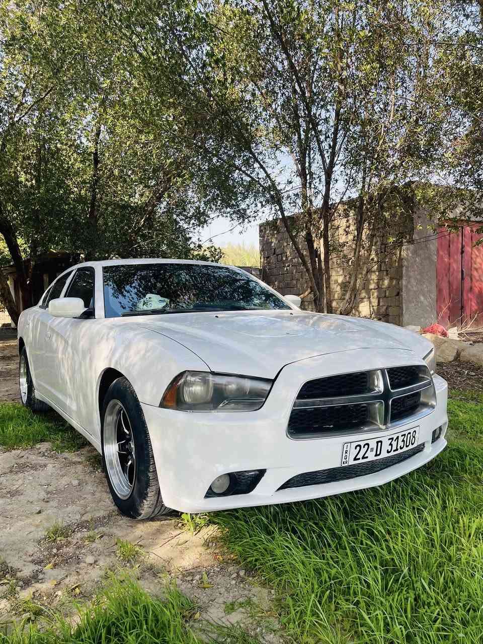 السلام عليكم
جارجر موديل 2011 أمريكي رقم أربيل انكليزي 

بيهااا بنيد فقط بدون إرباك بدون دواخل السيارة كلش حلوه ومرتبه منضومه مال زنون 

السياره جاهزه السعر 133 وبيهااا مجال 

العنوان بابل شوملي 

الانتصال ولا ستفسار 

***********
