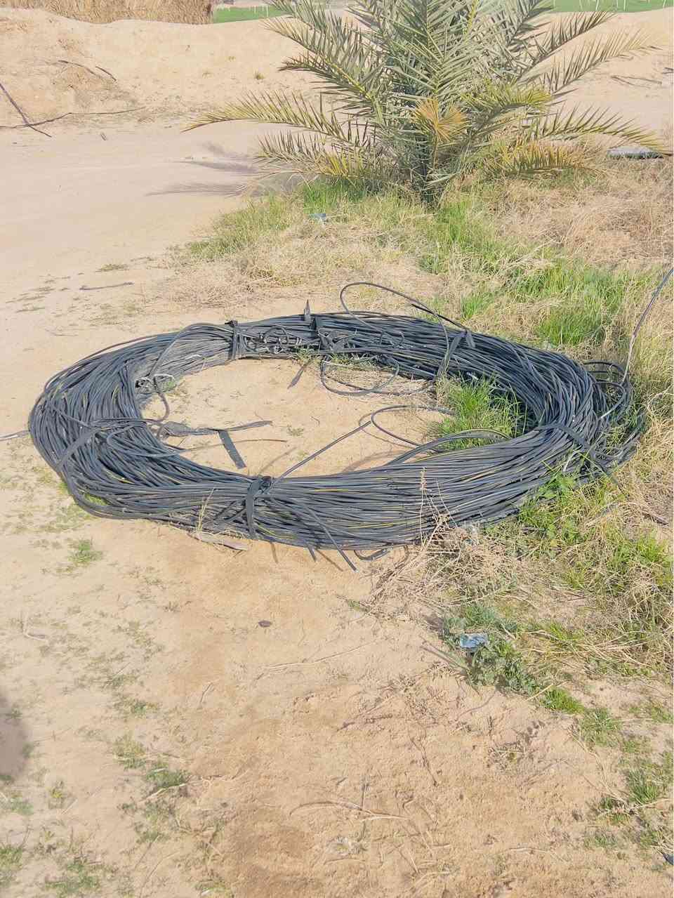 ‎ضفيرة للبيع أم ٢٥ طوله 1500متر ٣قطع نضيفه كلش 
للستفسار اتصل ع الرقم ***********
المكان طريق نجف كرب‎ كربلاء, العراق
