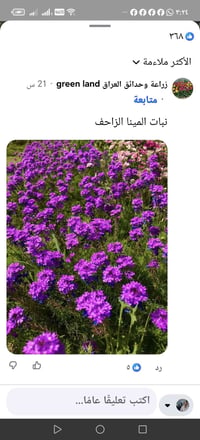 شجرة • تشجير • مبادرة النفس الأخضر